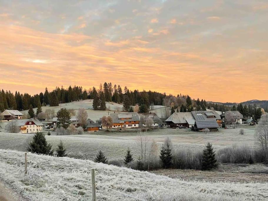 Helle Gemuetliche Ferienwohnung In Schwarzwaldhof Ibach Exterior photo